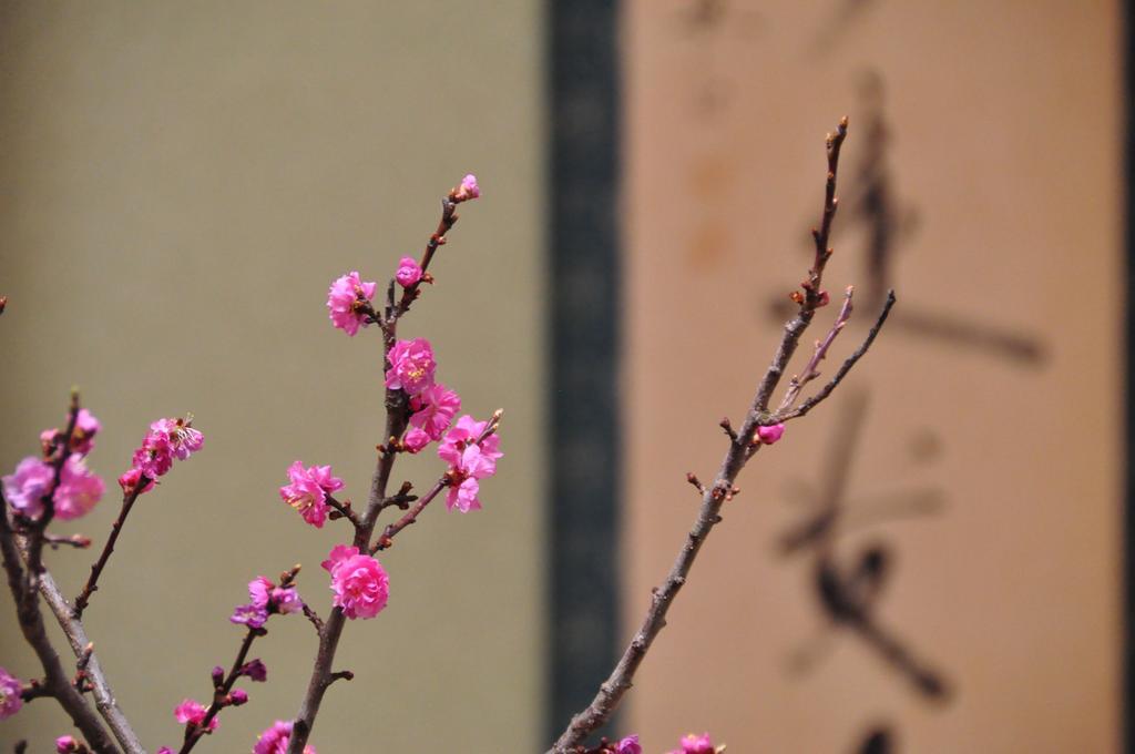 Ryokan Urashima Onomichi Habitación foto